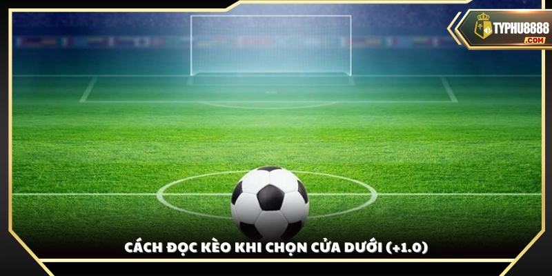 Hướng dẫn hiểu kết quả khi đặt cược vào đội cửa dưới (+1)
