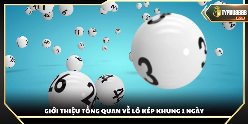 Tổng quan kiến thức cơ bản về lô kép khung 1 ngày