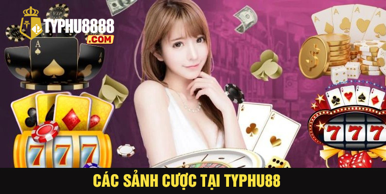 Các sảnh cược tại typhu88