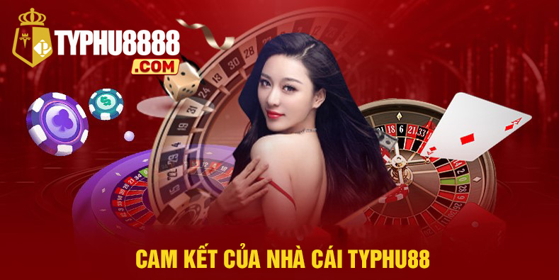 Cam kết của typhu88